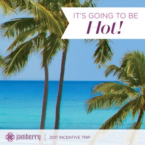 2017 Jamberry incentive trip to Punta Cana